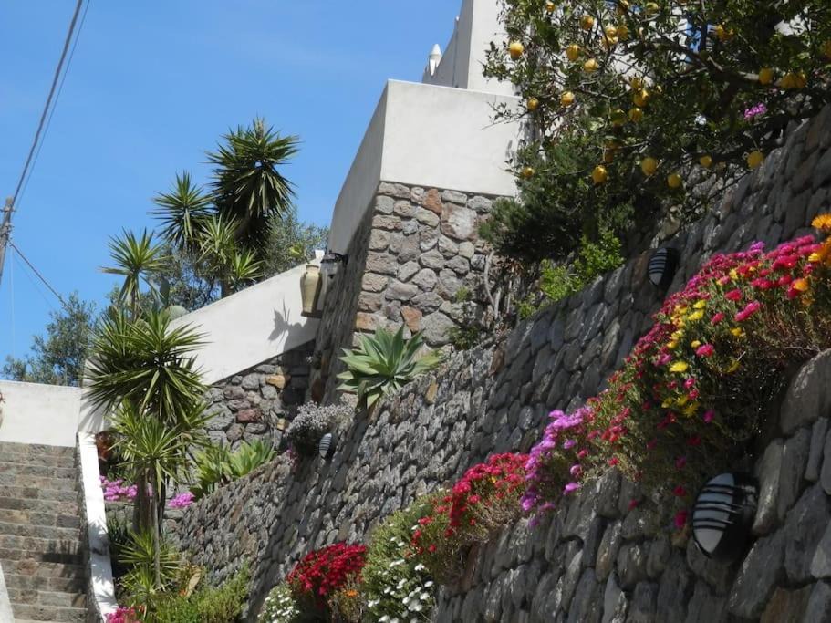 Photo of Others in Lipari