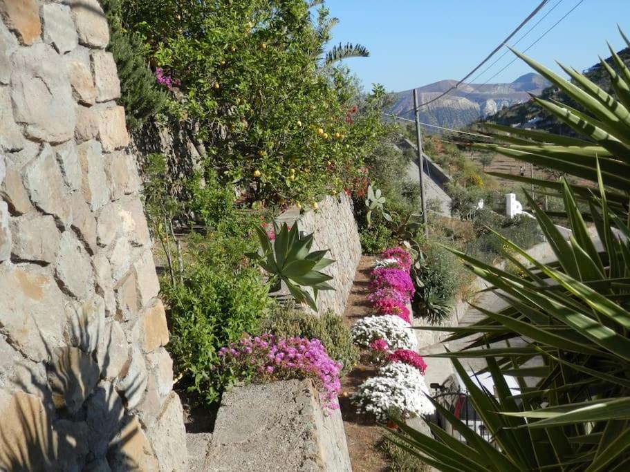 Photo of Others in Lipari