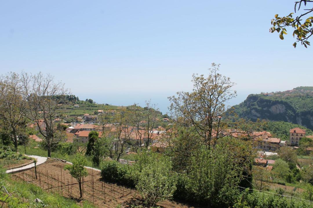 Photo of Others in San Lazzaro