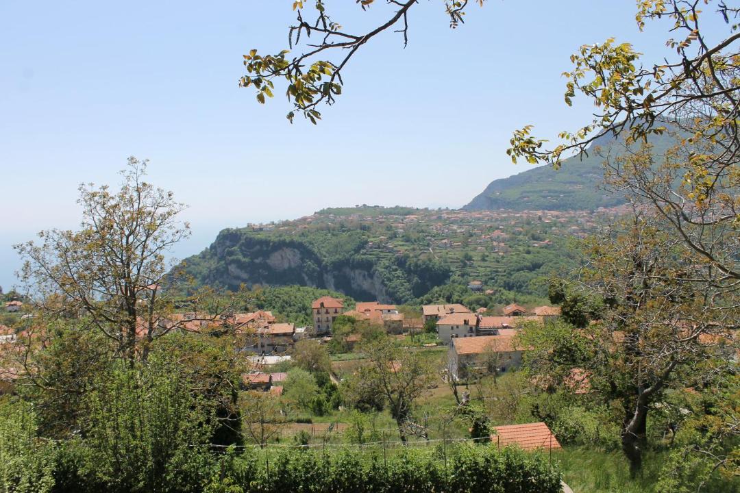 Photo of Others in San Lazzaro