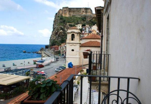 Photo of Others in Scilla