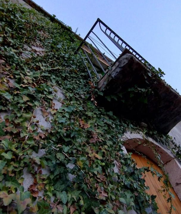Photo of Others in Fiumefreddo di Sicilia