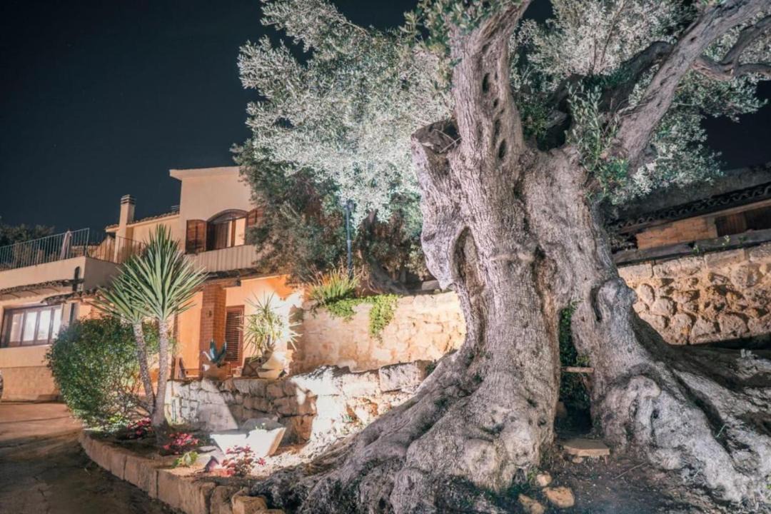 Photo of Others in Agrigento