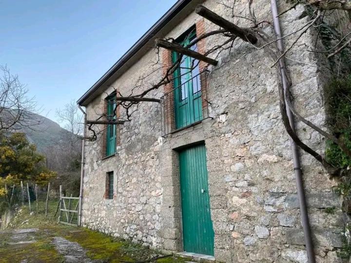Photo of Others in Tortorici