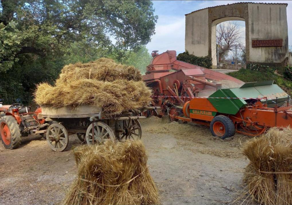Photo of Others in Ariano Irpino