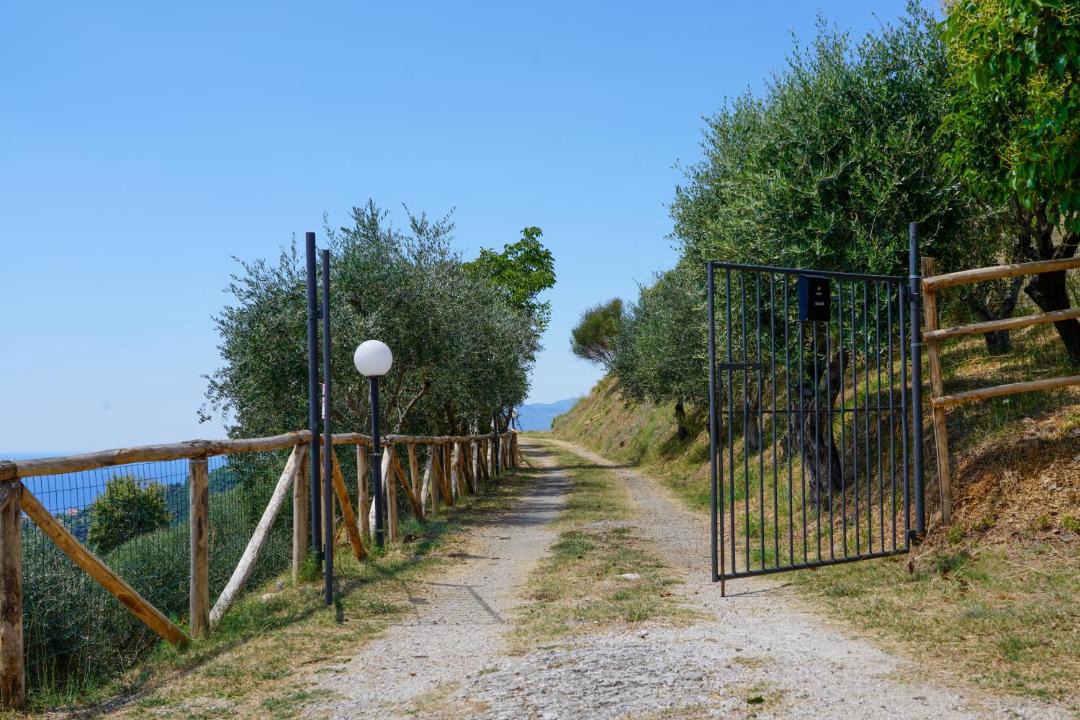 Photo of Others in Torraca