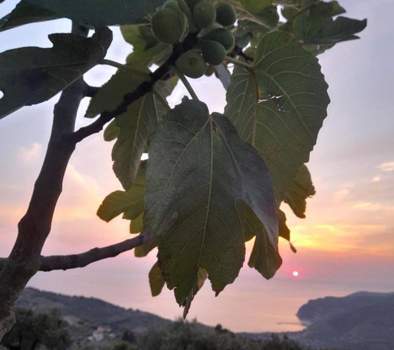Photo of Others in San Mauro Cilento
