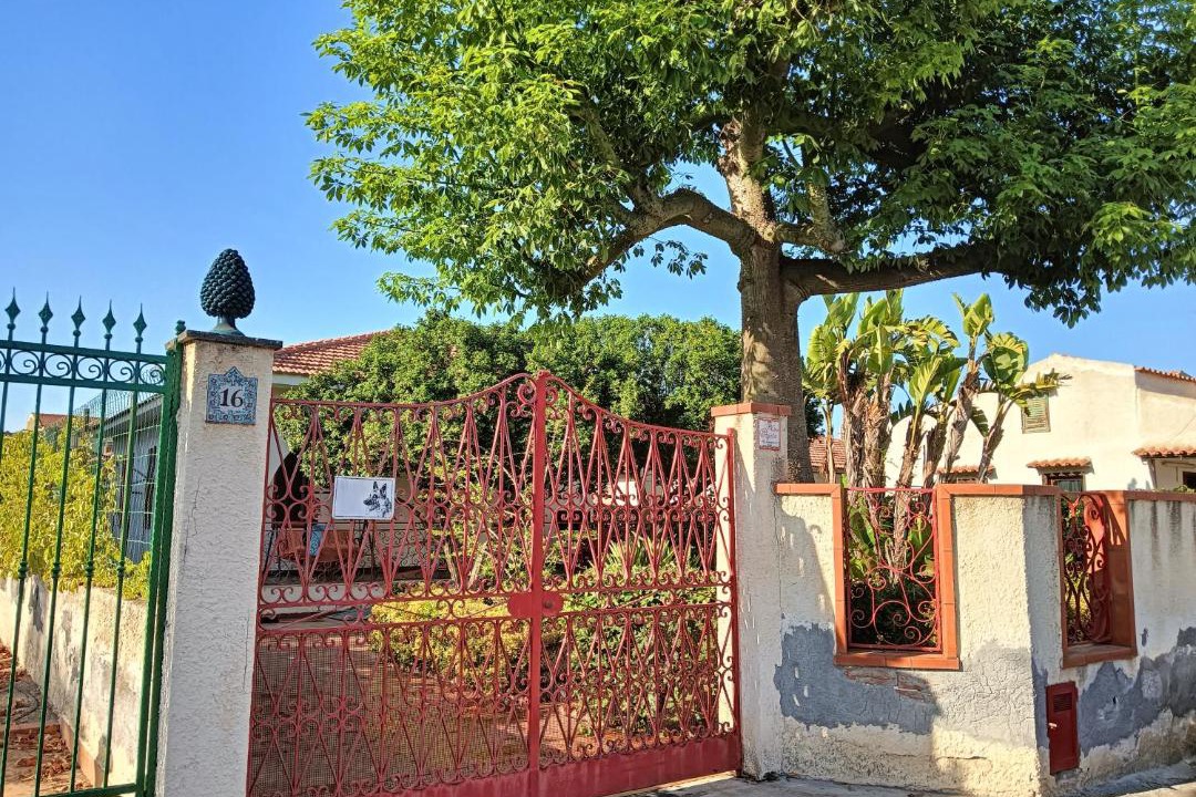 Photo of Others in San Giorgio-Librino-San Giuseppe la Rena-Zia Lisa-Villaggio Sant'Agata