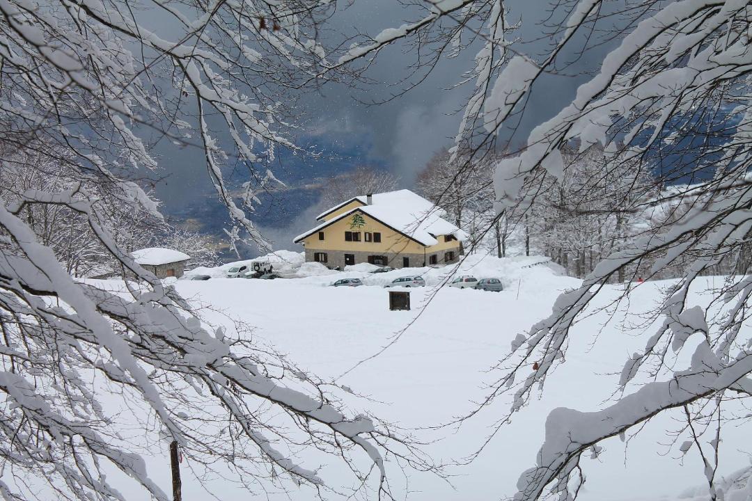 Photo of Others in Rotonda