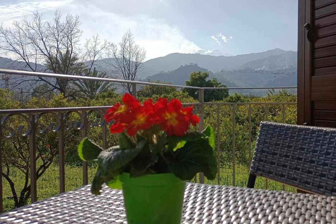 Photo of Others in Trappitello