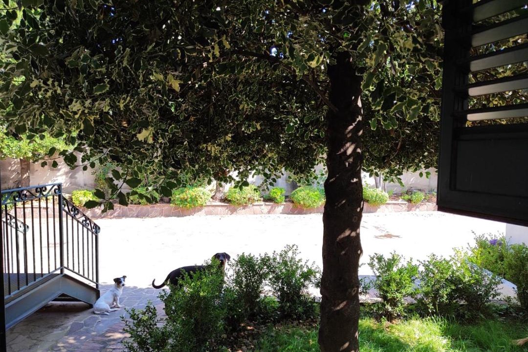 Photo of Others in Cava de' Tirreni