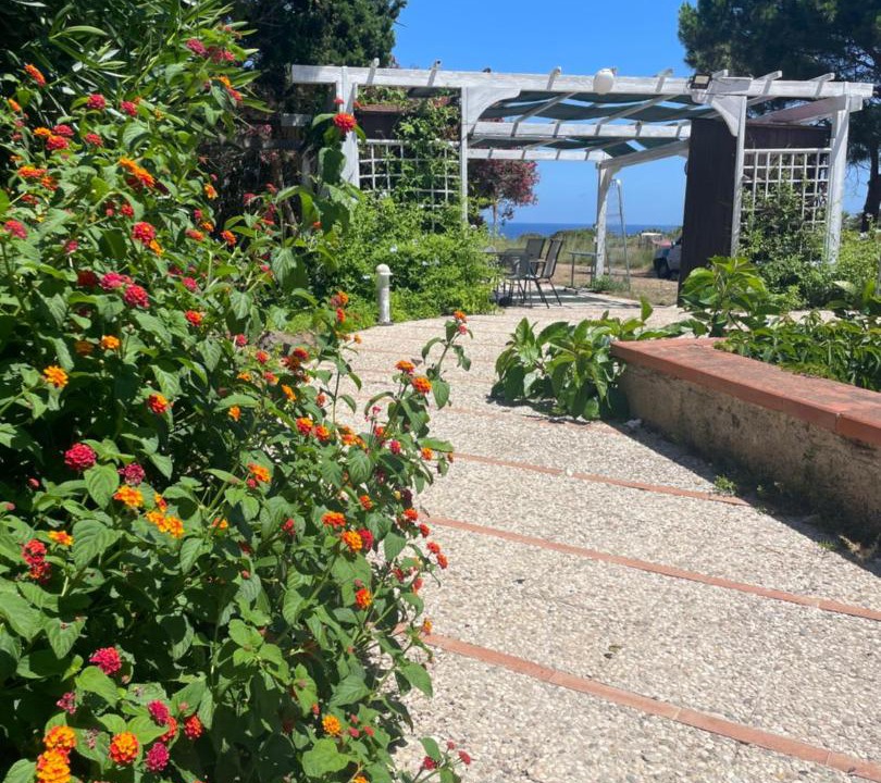 Photo of Buildings in Ustica