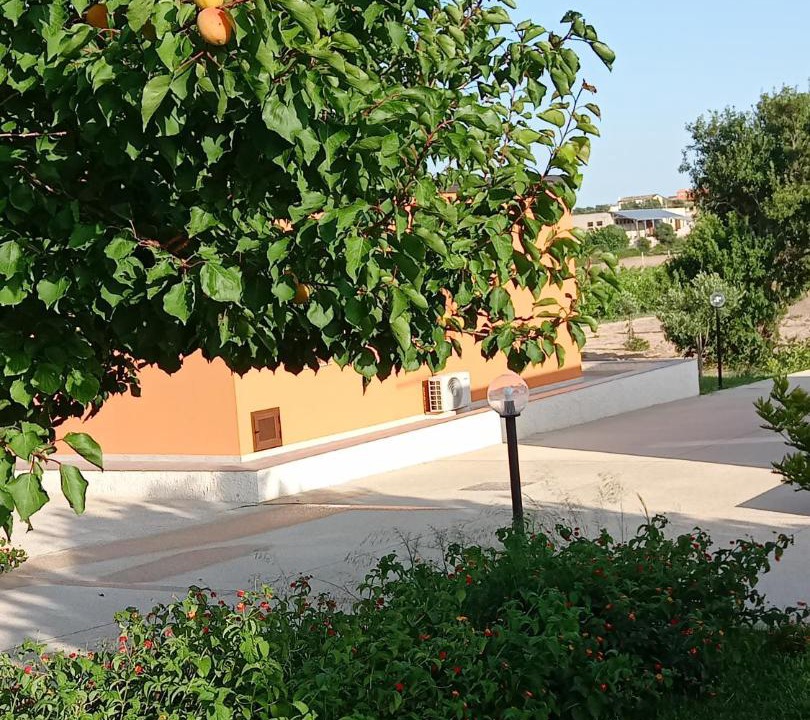 Photo of Others in Noto