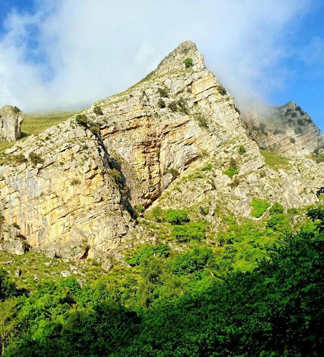 Photo of Others in Tortorici