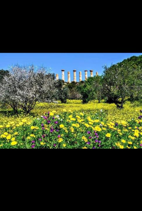 Photo of Others in Cianciana