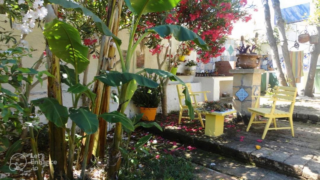 Photo of Others in Marsala
