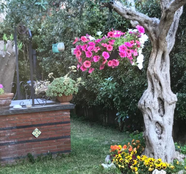 Photo of Others in San Gregorio di Catania