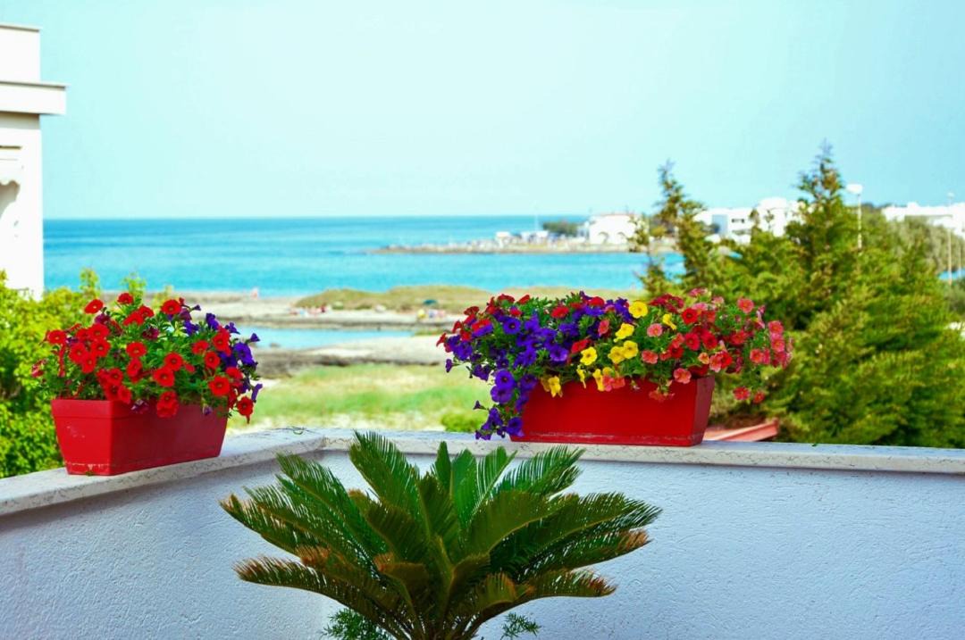 Photo of Patio Balcony in Torre Santa Sabina