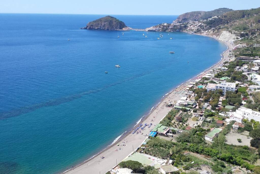 Photo of Outdoor in Lacco Ameno