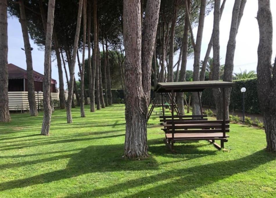 Photo of Others in Canicatti