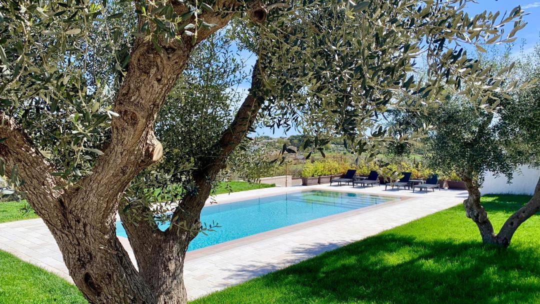 Photo of Outdoor in Locorotondo