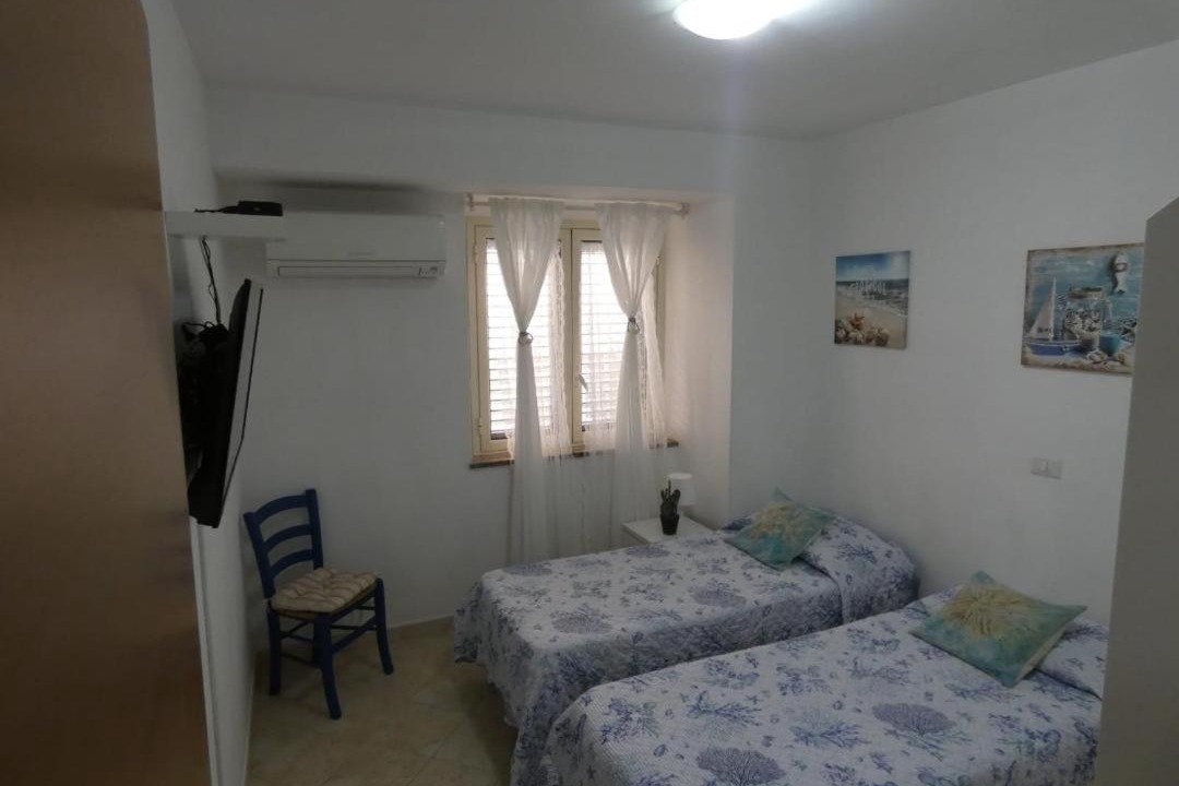 Photo of Others in Scilla