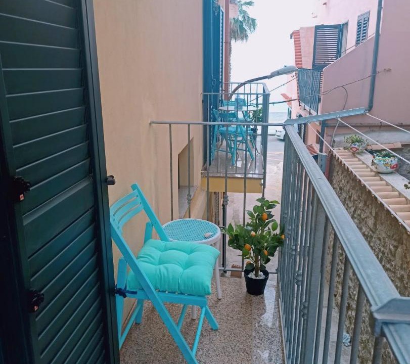Photo of Others in Scilla