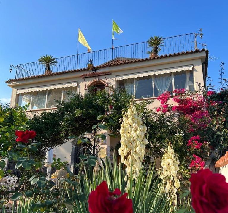 Photo of Others in Trappitello