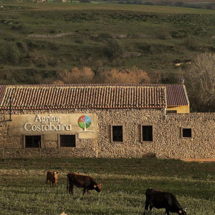 Photo of Buildings in Caltagirone