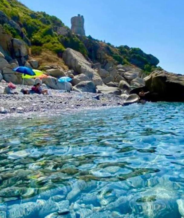 Photo of Outdoor in Coccorino