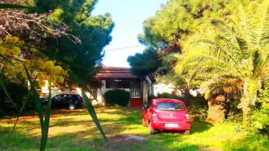 Photo of Others in Coccorino