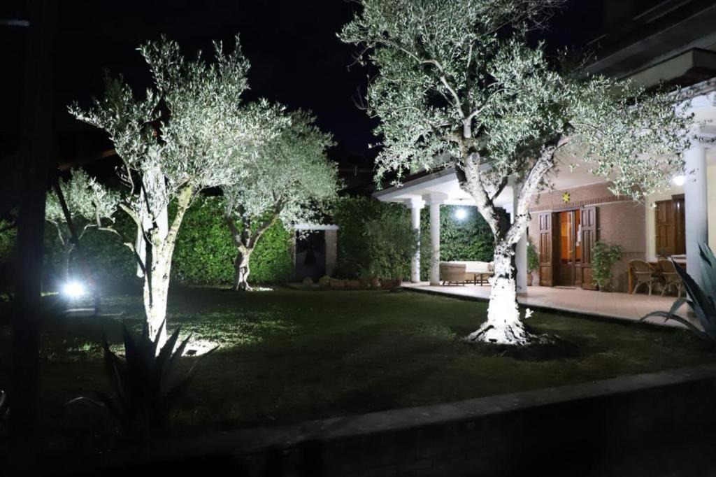 Photo of Buildings in San Michele di Serino