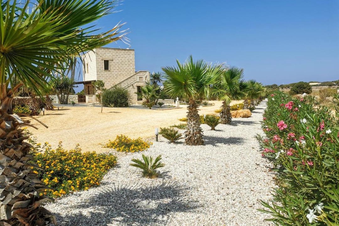 Photo of Others in Favignana