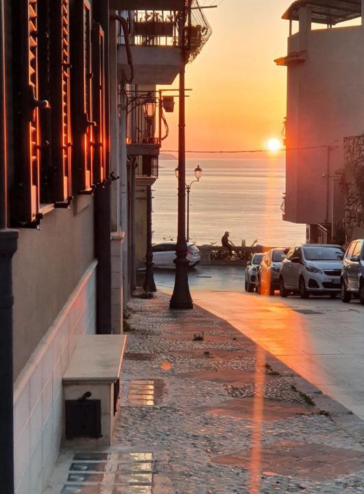 Photo of Others in Scilla