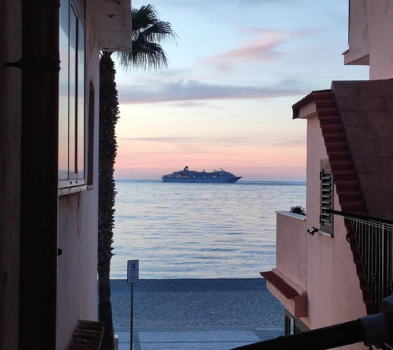 Photo of Others in Scilla