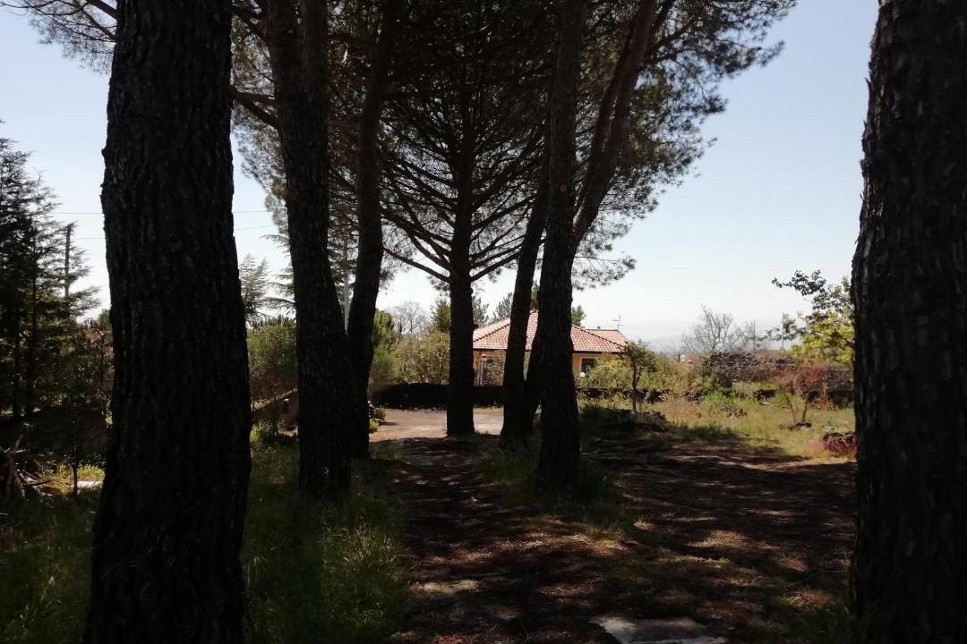 Photo of Others in Nicolosi
