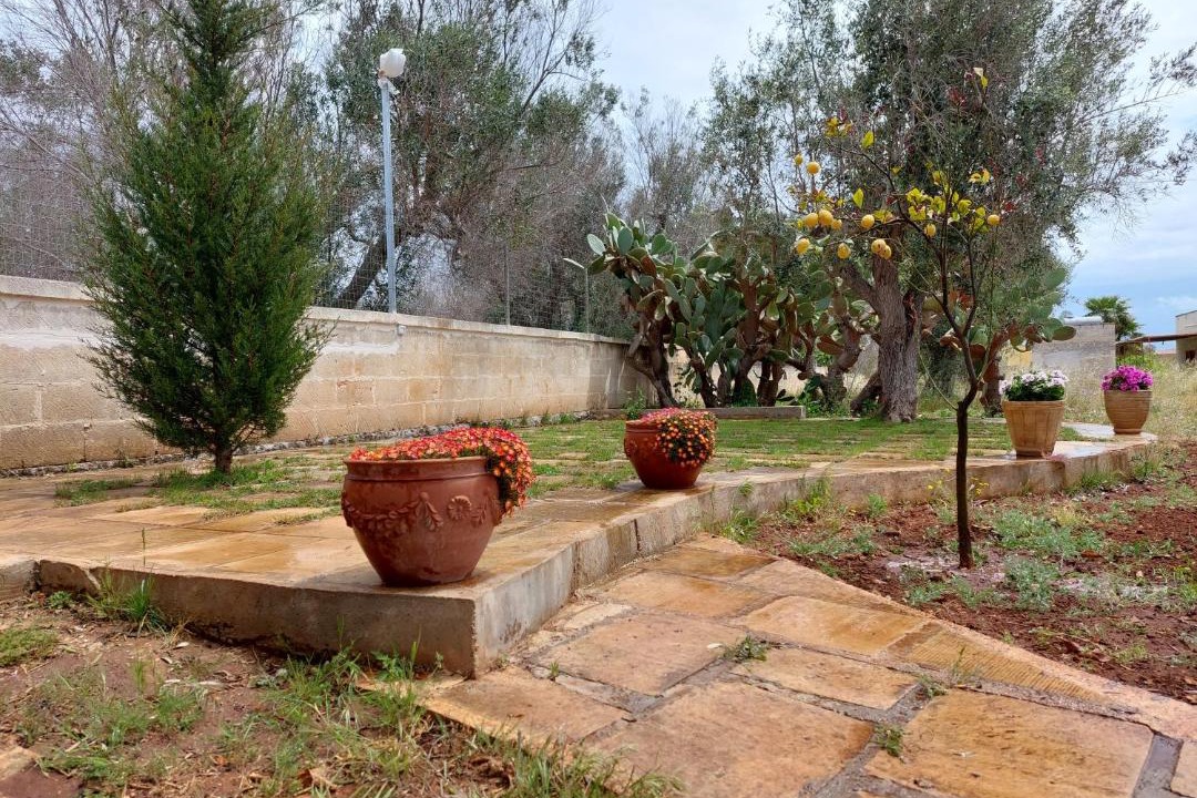 Photo of Others in Sant'Isidoro