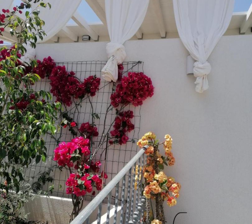 Photo of Others in Lipari Historic Centre