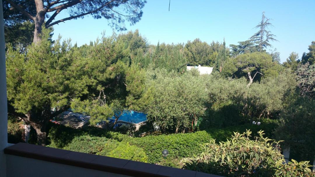 Photo of Others in Anacapri