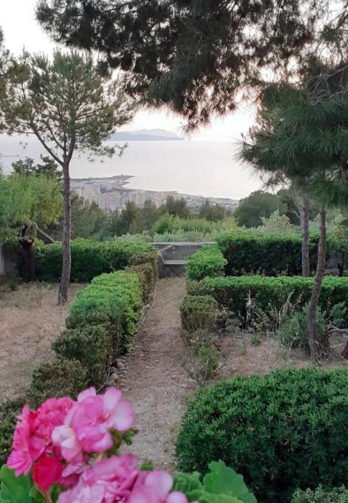 Photo of Others in Erice