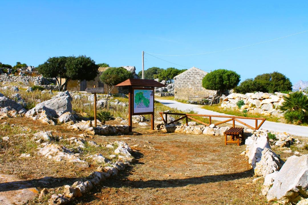 Photo of Others in Custonaci