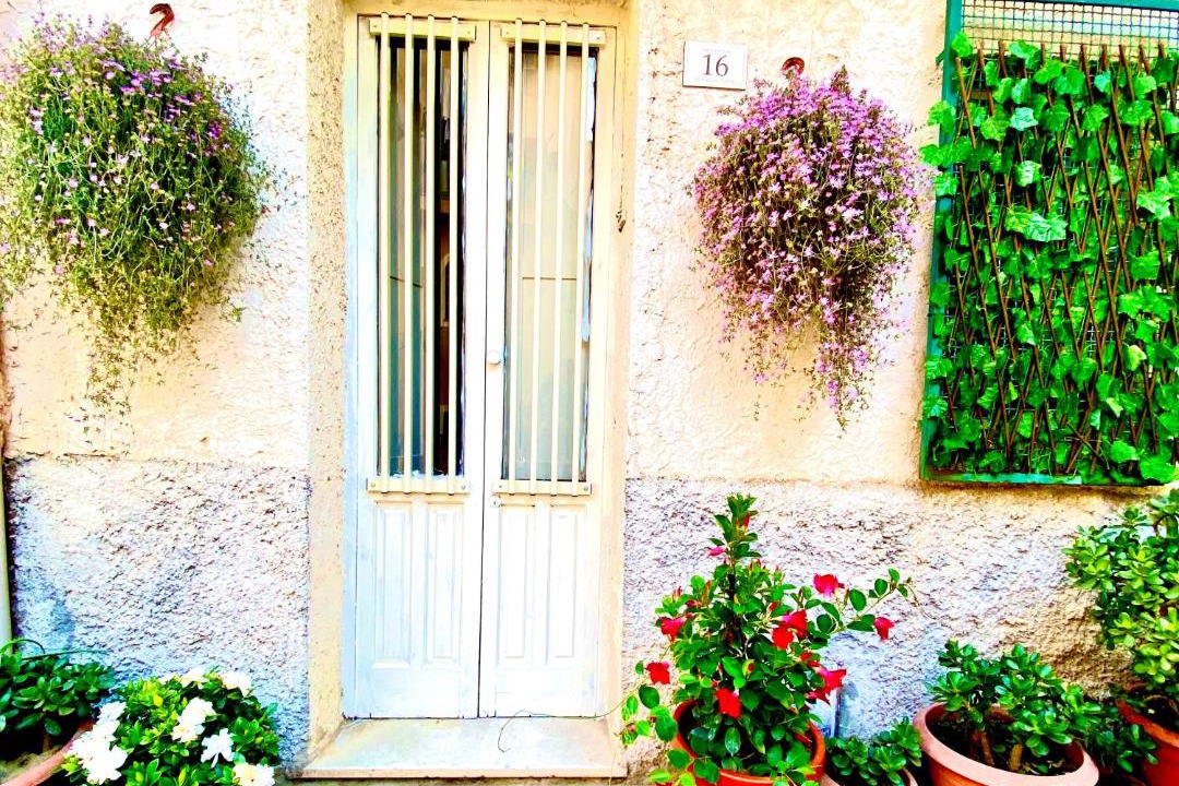 Photo of Others in Scilla