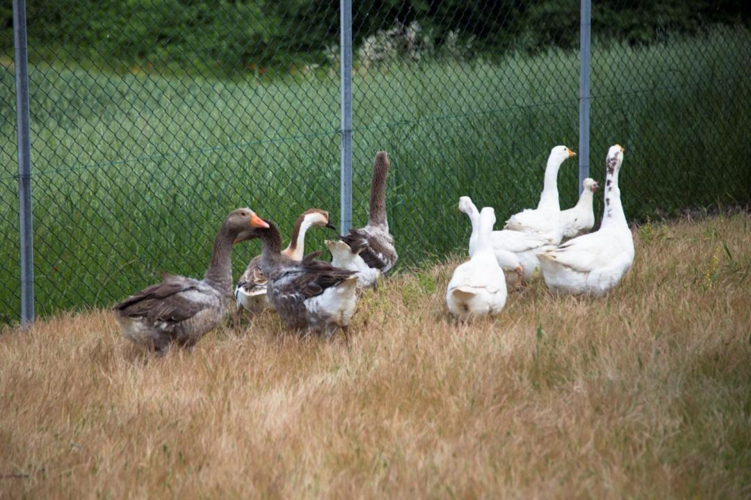 Photo of Others in Mirabella Eclano