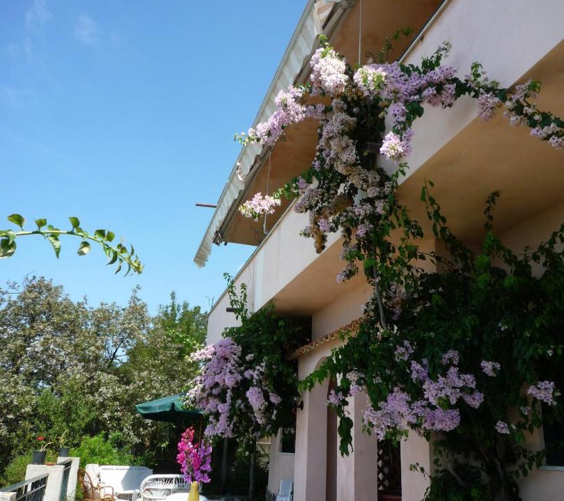 Photo of Buildings in Ricadi