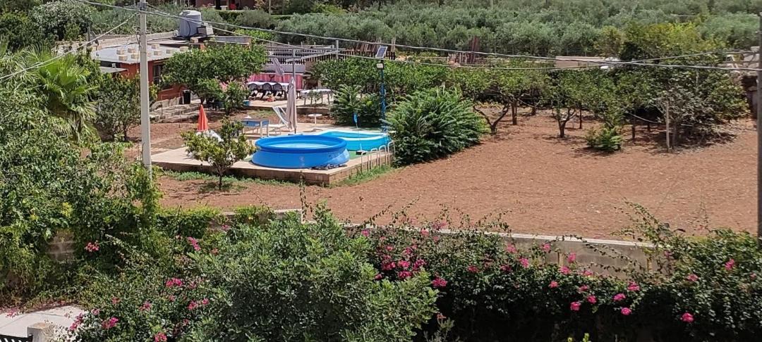 Photo of Others in Marsala