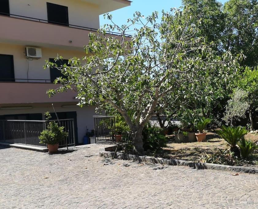Photo of Buildings in Sarno