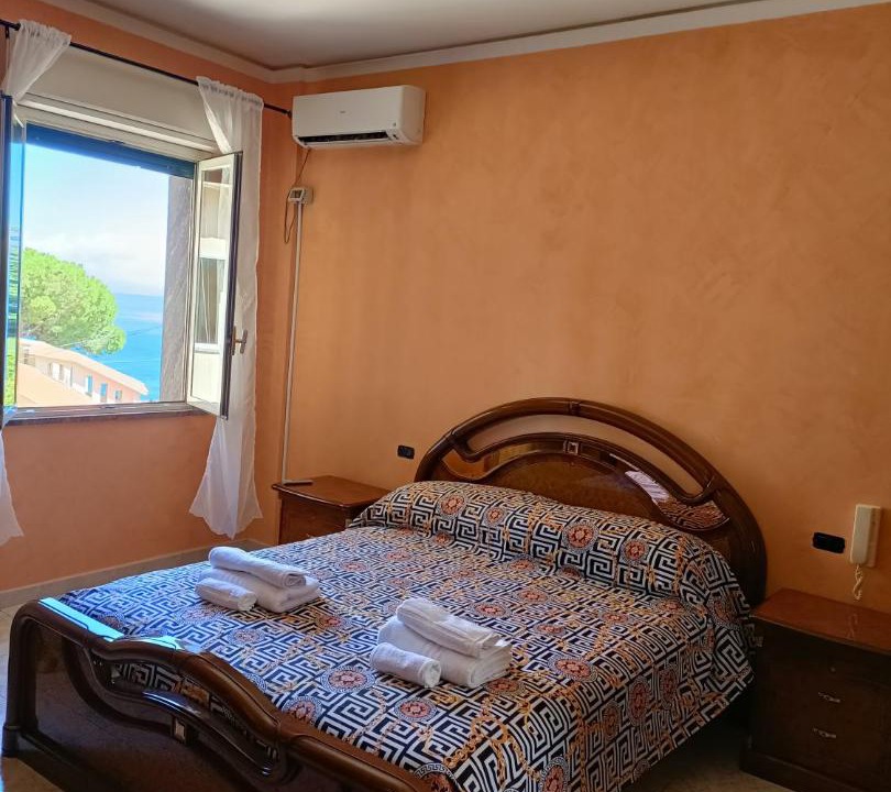 Photo of Others in Scilla