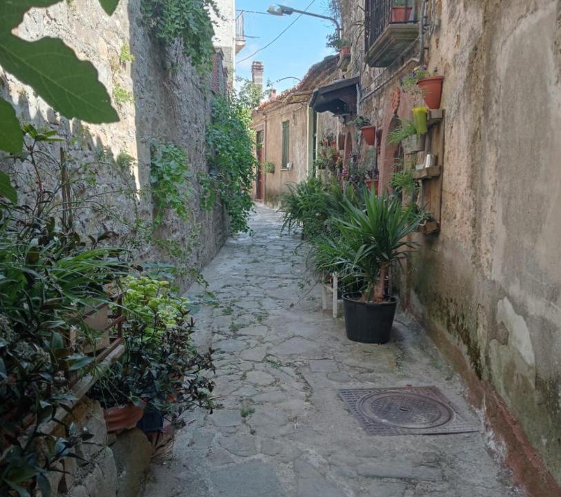 Photo of Others in Lustra
