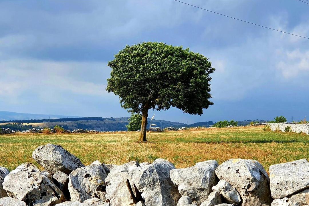 Photo of Others in Ragusa