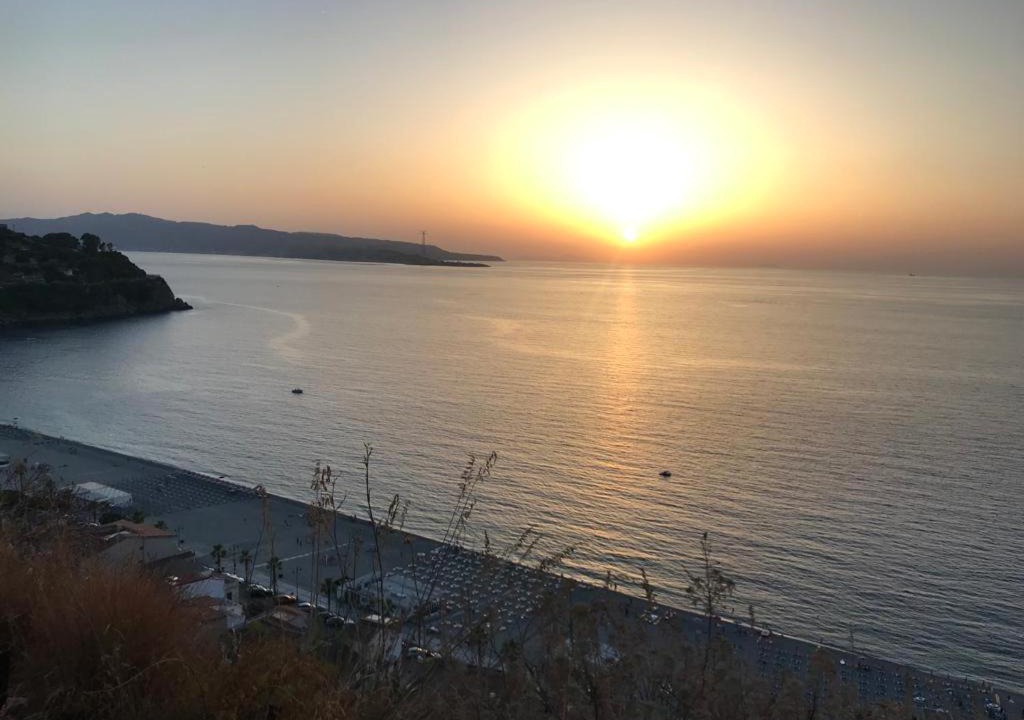 Photo of Others in Scilla